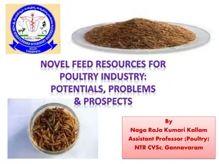 Exploring Novel Feed Resources for Poultry Industry