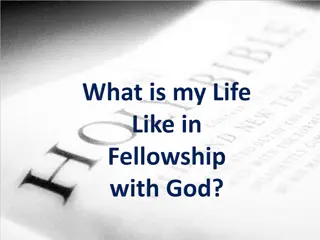 Fellowship and Partnership Insights