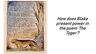 Power Presentation in Blake's Poem 