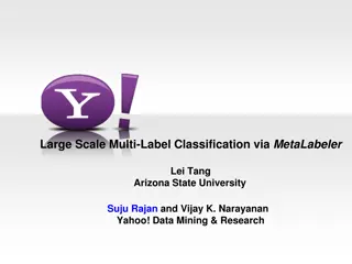 Large-Scale Multi-Label Classification Challenges