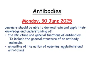 Understanding Antibodies: Structure and Functions