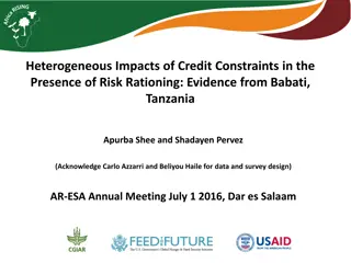 Impacts of Credit Constraints in Tanzania