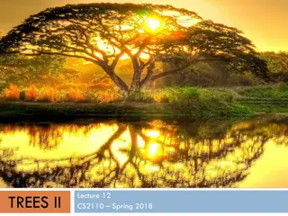 Explore Advanced Concepts in Binary Trees