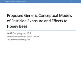 Conceptual Models of Pesticide Exposure and Effects on Bees