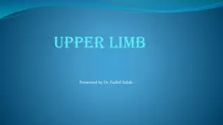 Understanding Upper Limb Anatomy