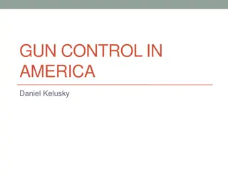 Optimal Gun Control Solution