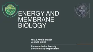 Advanced Spectrophotometric Techniques in Energy and Membrane Biology