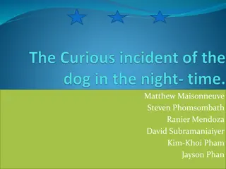 Christopher's Journey in The Curious Incident