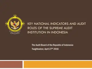 Key Audit Roles and National Indicators in Indonesia