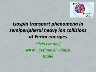 Isospin Transport Phenomena at Fermi Energies