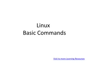 Master Basic Linux Commands for Efficient System Management