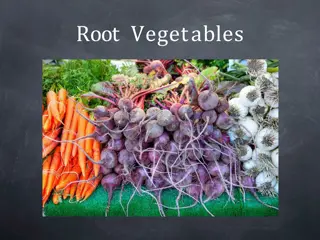All About Root Vegetables
