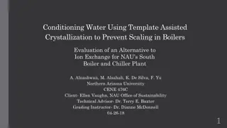 Template Assisted Crystallization for Scaling Prevention in Boilers