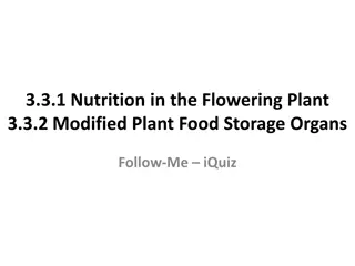 Plant Nutrition and Water Uptake