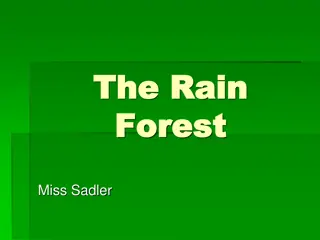 Understanding Tropical Rainforests