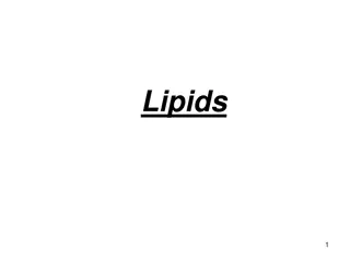 Understanding Lipids and Fatty Acids