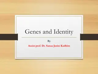 Understanding Genes and Identity