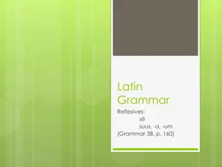 Latin Reflexive Pronouns and Possessives