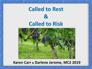 True Rest and True Risk: Embracing Faith and Trust