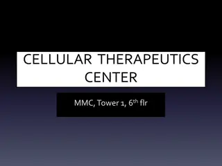 Stem Cell Therapeutics at MMC Center