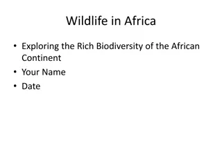 Exploring Rich Biodiversity of African Wildlife