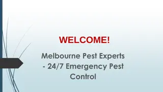 Best Pest Control in Templestowe