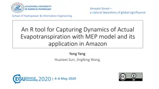Amazon Forest Dynamics: MEP Model for Evapotranspiration