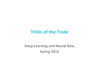 Tricks of the Trade: Deep Learning and Neural Nets Insights