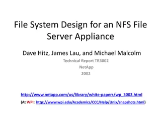 Network Appliance File Server: WAFL Implementation Explained