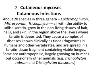Understanding Cutaneous and Subcutaneous Mycoses