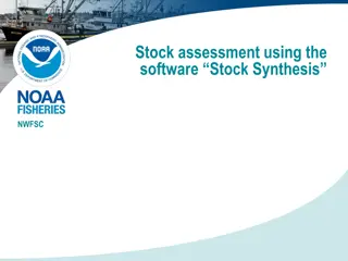 Advanced Techniques in Stock Assessment Using Stock Synthesis
