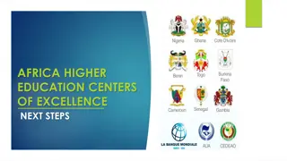 Excellence in African Higher Education: Next Steps Overview