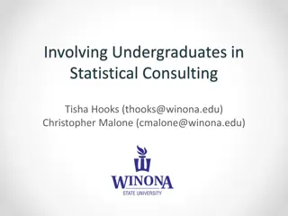 Undergraduate Statistical Consulting Model