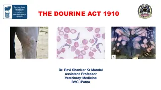 Prevention of Dourine Spread Act