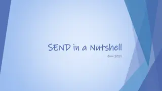 Understanding SEND in a Nutshell