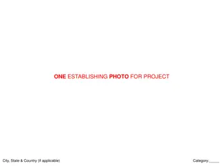 Project Establishing Photo and Description