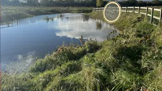 Understanding Water Composition in Dee Park Pond
