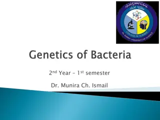 Genetics of Bacteria: Understanding DNA and RNA Structures