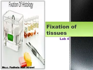 Tissue Fixation: Methods, Types, and Importance
