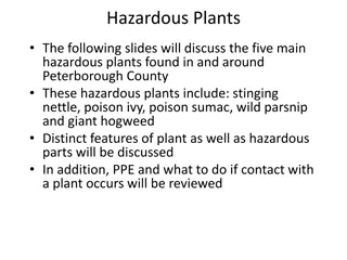 Identifying Hazardous Plants in Peterborough County