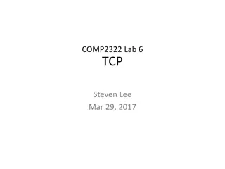 Understanding TCP Transmission Control Protocol