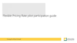 Guide to Flexible Pricing Rate Pilot Participation