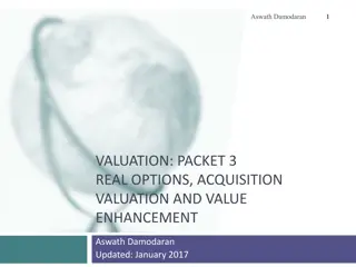 Real Options in Investment Valuation