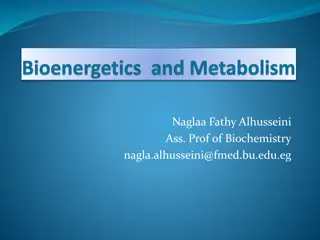 Biochemical Reactions and Energy Metabolism Overview