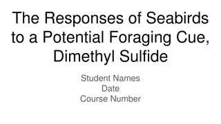 Seabird Foraging Responses to Dimethyl Sulfide