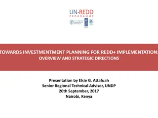 Strategic Directions for REDD+ Investment Planning