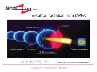Betatron Radiation from LWFA - Plasma Physics Study