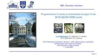 Nucleus-Nucleus Interactions at Intermediate Energies
