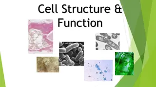 Cell Structure Function and Theory