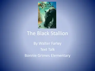The Black Stallion Text Talk Summary